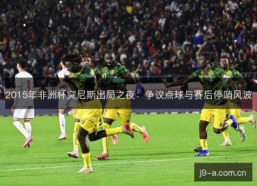 2015年非洲杯突尼斯出局之夜：争议点球与赛后停哨风波